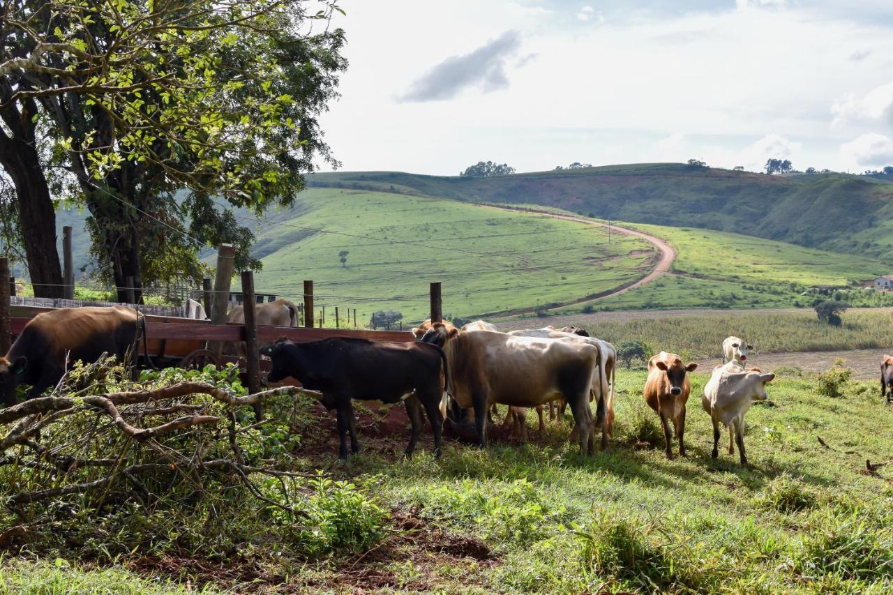 Bubble Pingo Do Mula Serra Da Canastra São Roque de Minas Eksteriør bilde