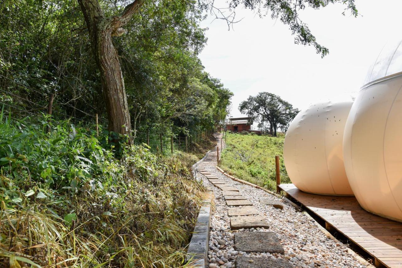 Bubble Pingo Do Mula Serra Da Canastra São Roque de Minas Eksteriør bilde