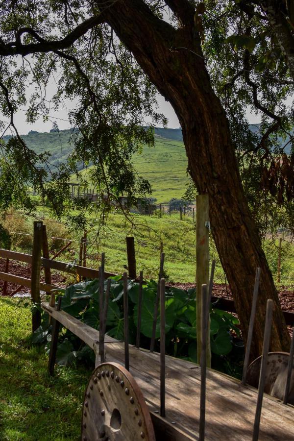 Bubble Pingo Do Mula Serra Da Canastra São Roque de Minas Eksteriør bilde